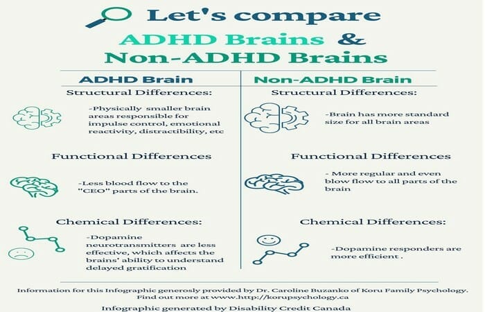 ADHD brain comparison